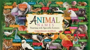 A Comprehensive List of Animals Name by Alphabetical Order