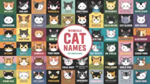 Perfect Cat Names